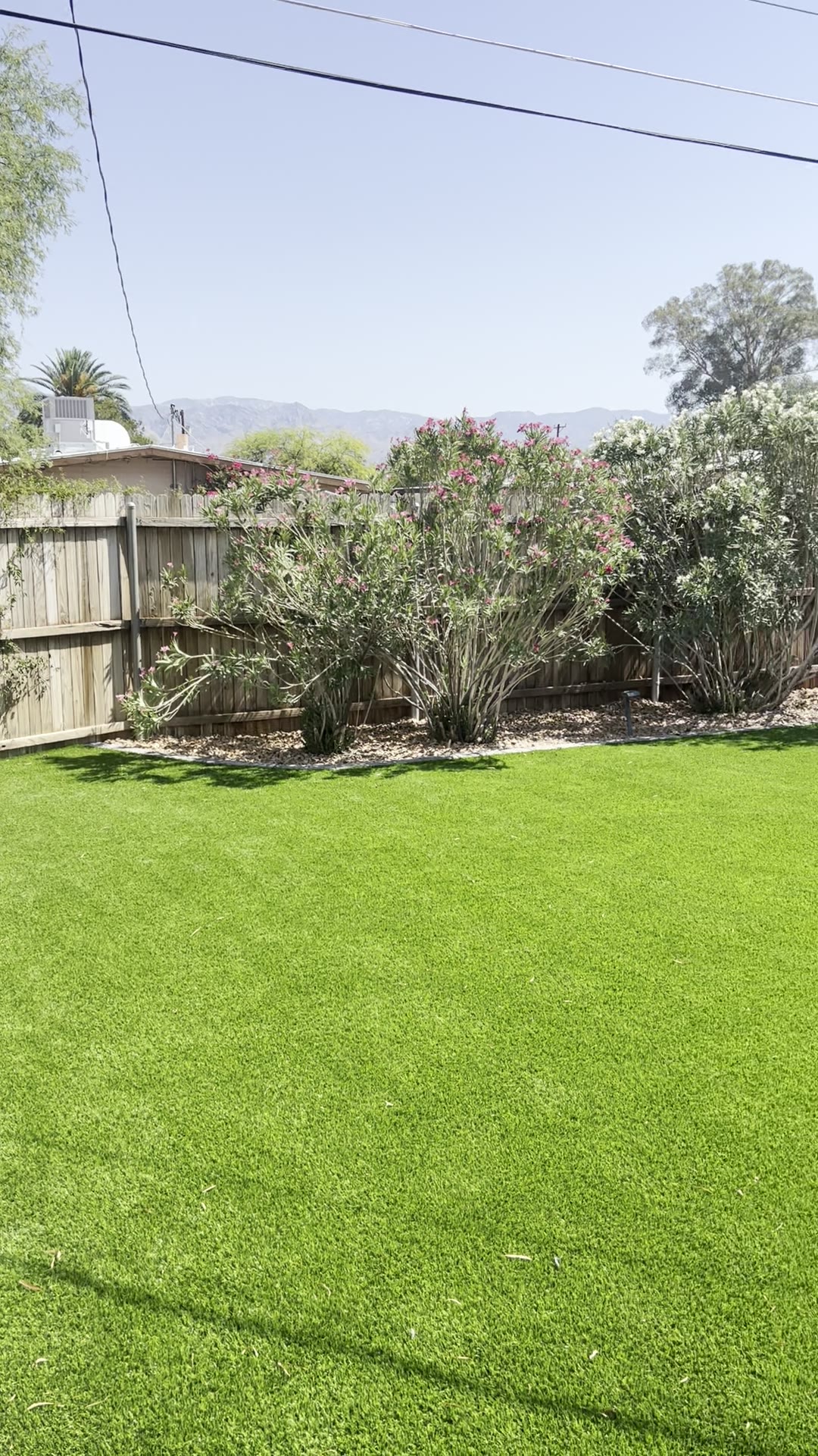 Artificial Turf Transformation
