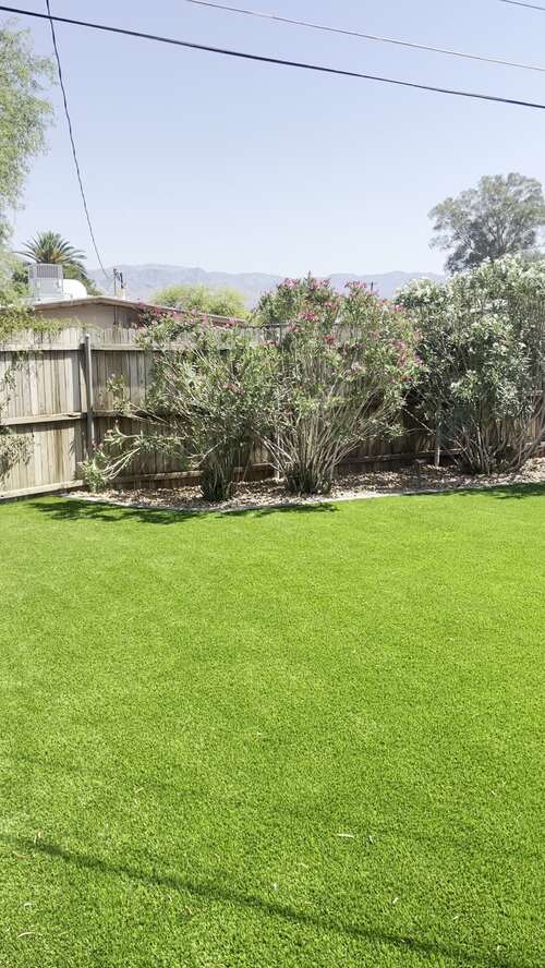 Artificial Turf Transformation