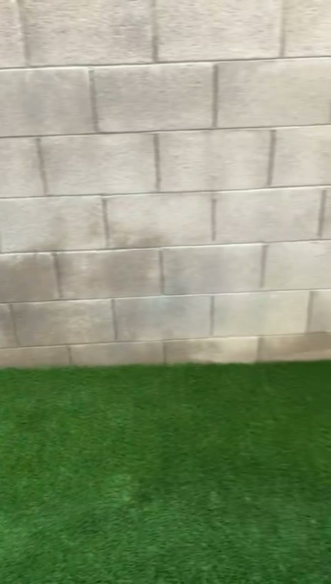 Paver Patio Build