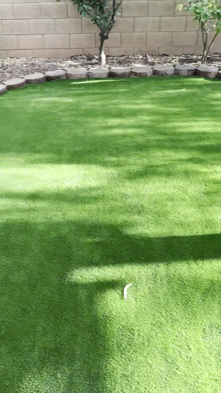Backyard transformation Green Valley